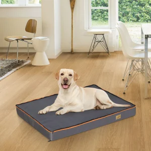Large Padded Orthopedic Dog Bed Foam Cushion .